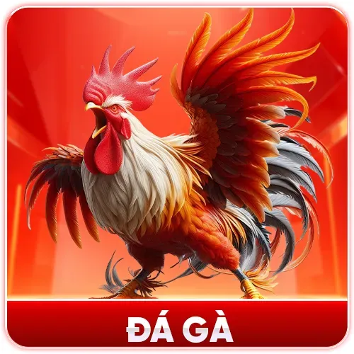 Chuyen muc da ga ok8386